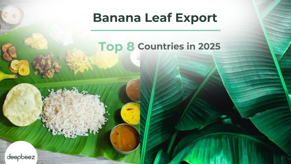 Banana leaf export