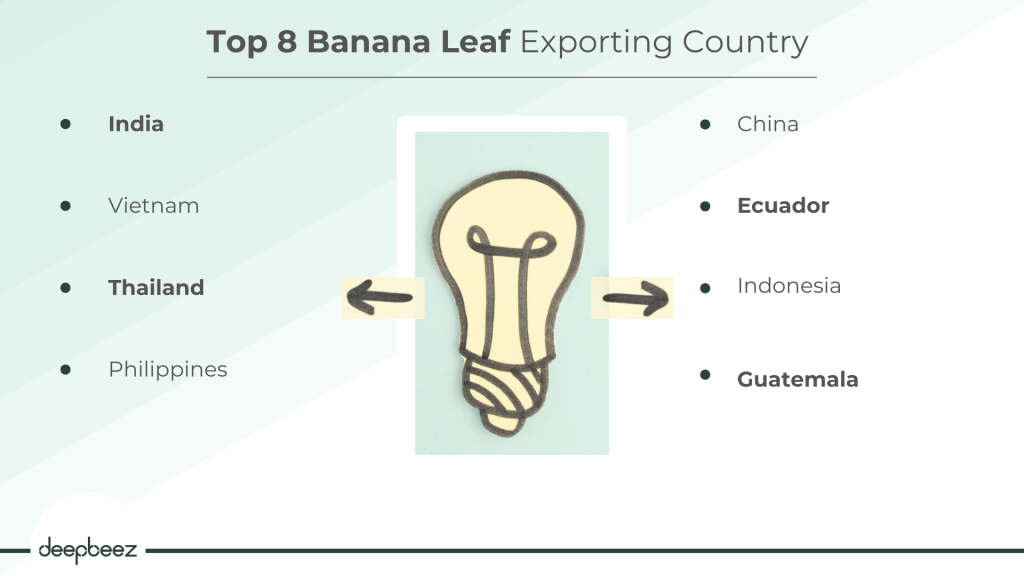 Top 8 Banana Leaf Exporting Country 