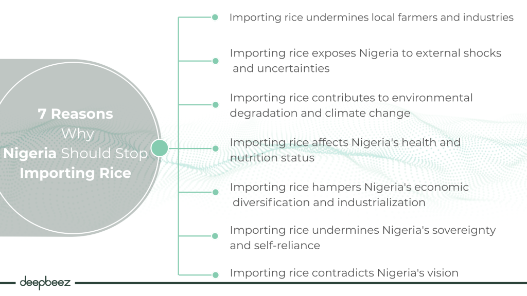 Reasons Why Nigeria Should Stop Importing Rice