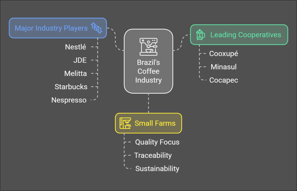 Supply Chain & Key Players in Brazil Coffee Industry