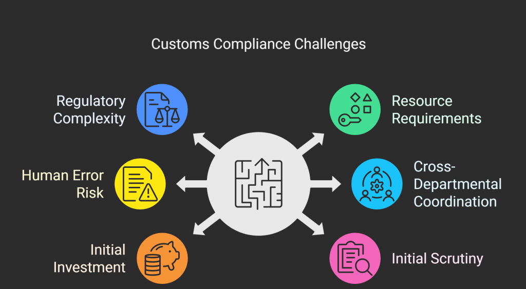 customs compliance challenges 