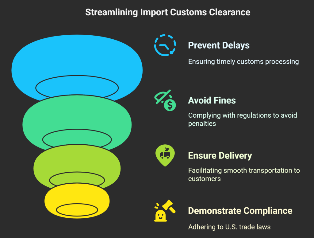 import customs clearance 