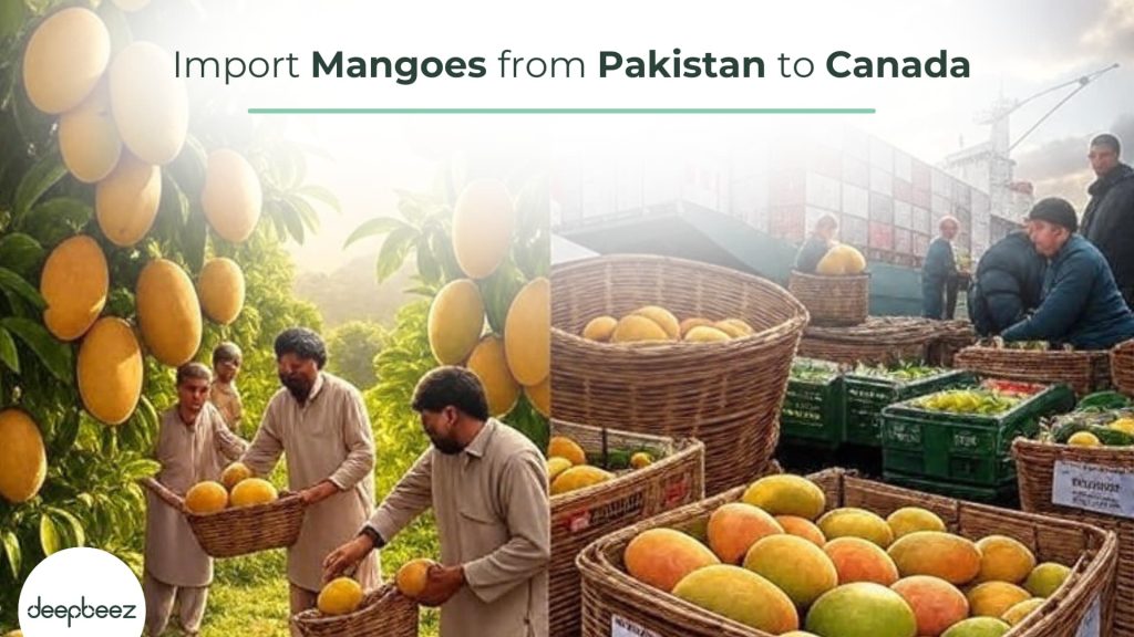 Import Mangoes from Pakistan to Canada