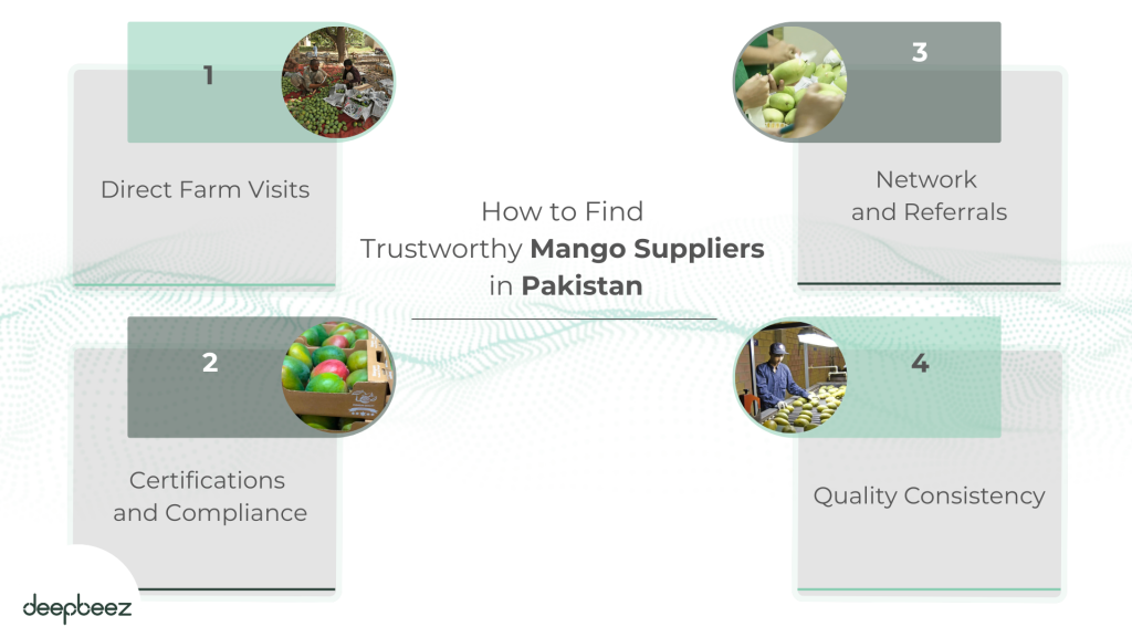 How to Find Trustworthy Mango Suppliers in Pakistan
